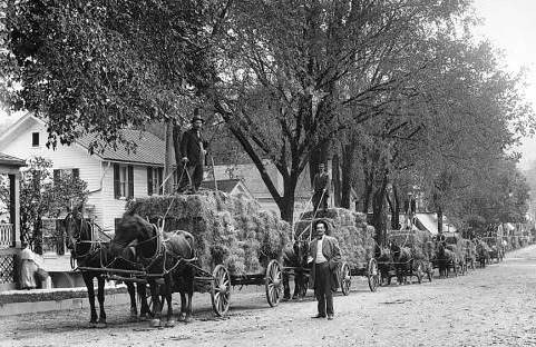 Hay wagons with harvest, c.1900
